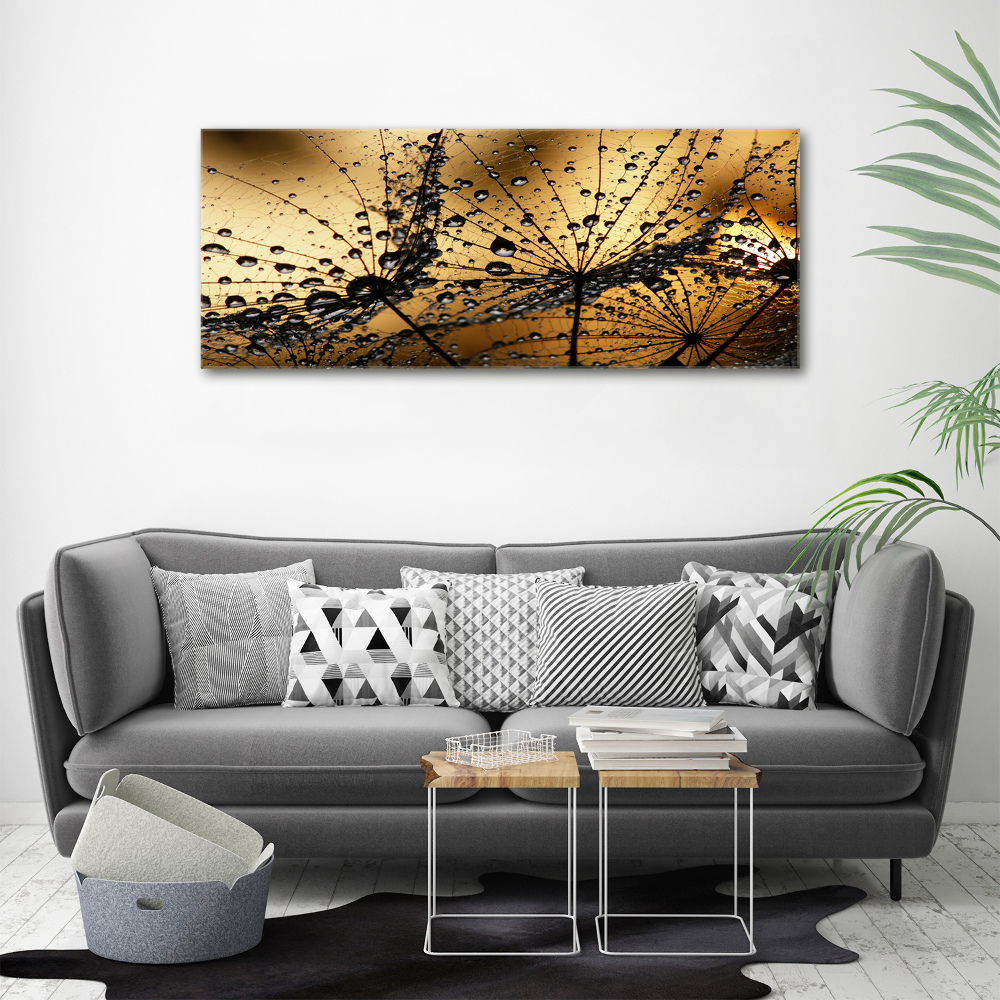 Tableau photo sur toile Graine de poisson