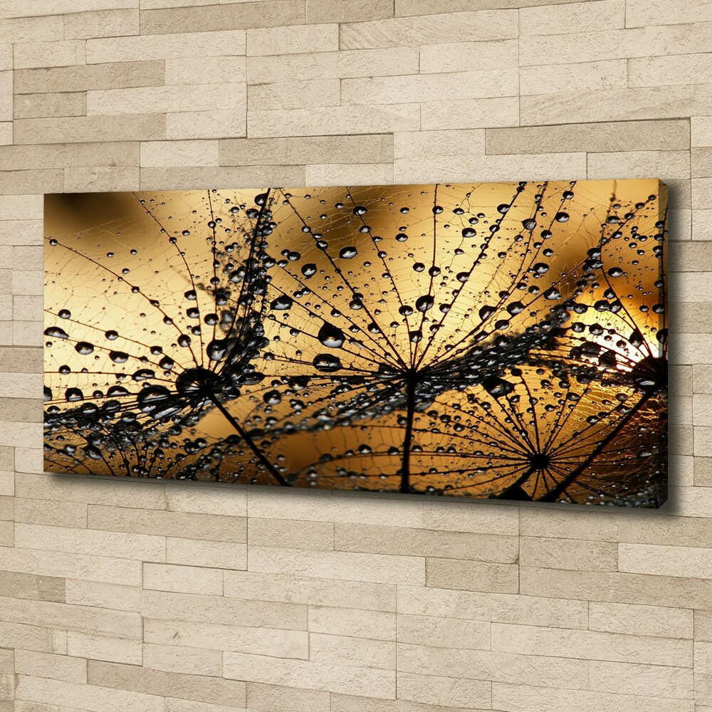 Tableau photo sur toile Graine de poisson