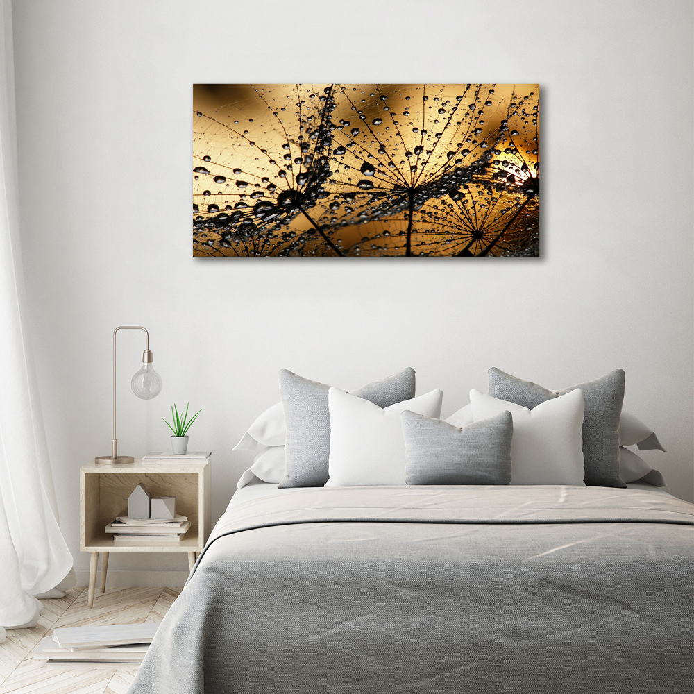 Tableau photo sur toile Graine de poisson