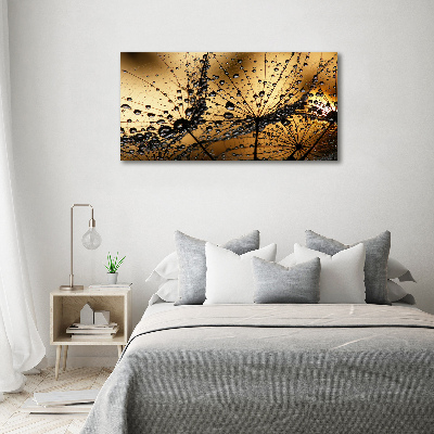 Tableau photo sur toile Graine de poisson