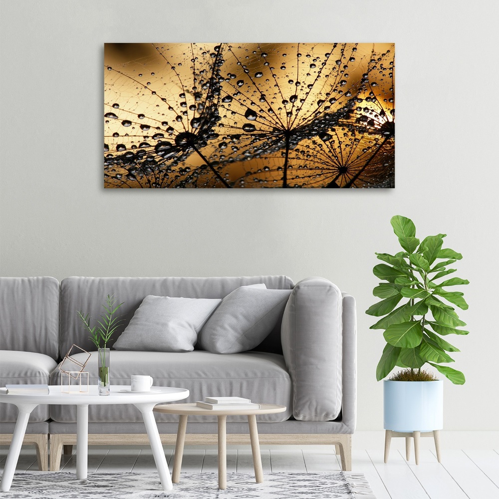 Tableau photo sur toile Graine de poisson