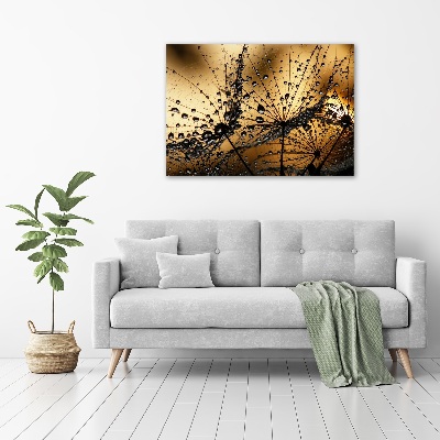 Tableau photo sur toile Graine de poisson