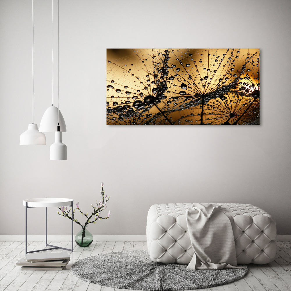 Tableau photo sur toile Graine de poisson