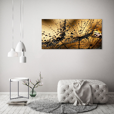 Tableau photo sur toile Graine de poisson