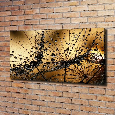 Tableau photo sur toile Graine de poisson