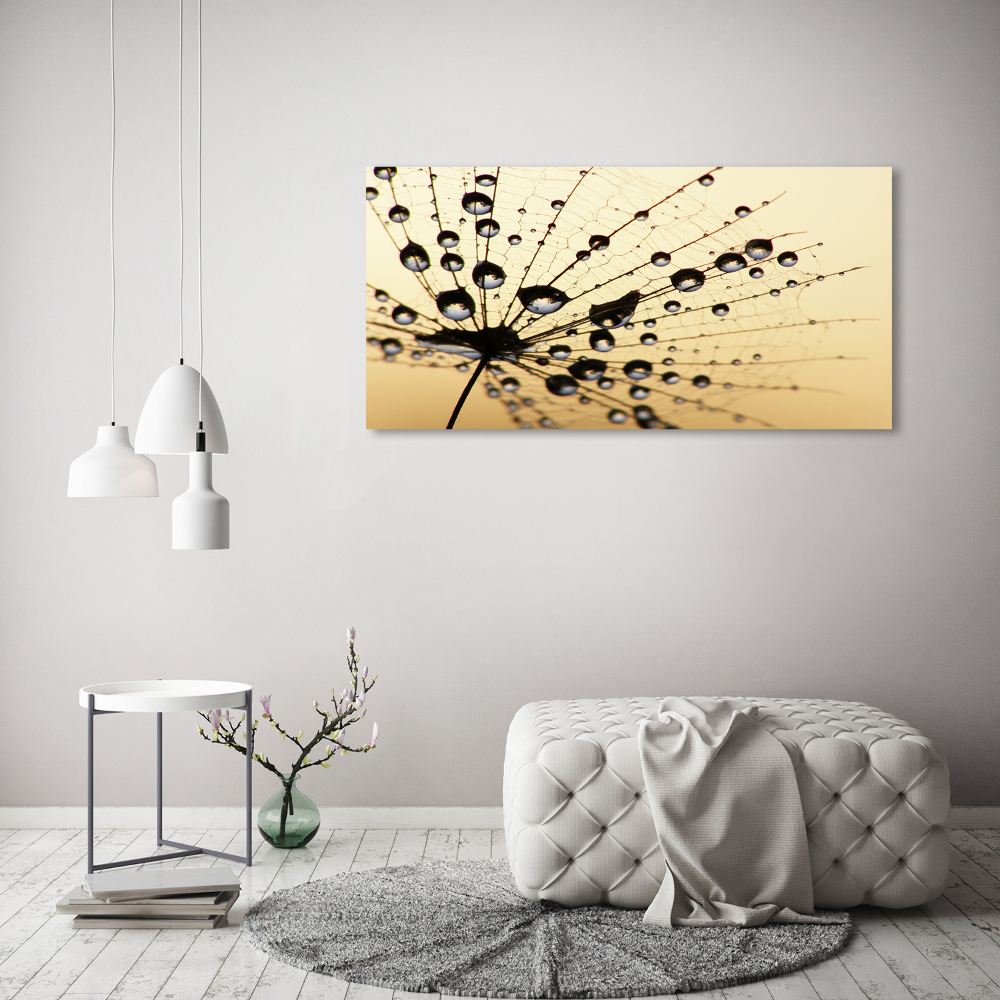 Tableau photo sur toile Graine de sarbacane