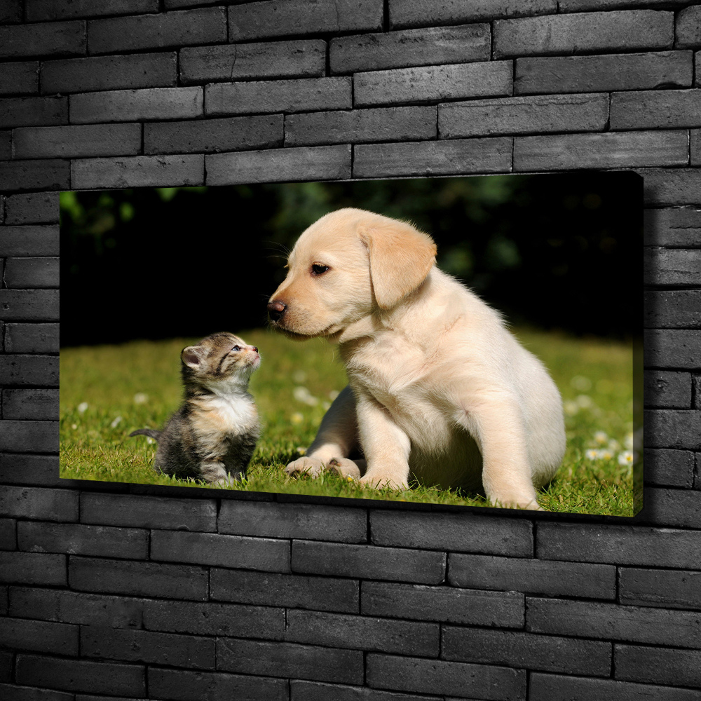 Tableau toile imprimée Chien et chat dans le pré