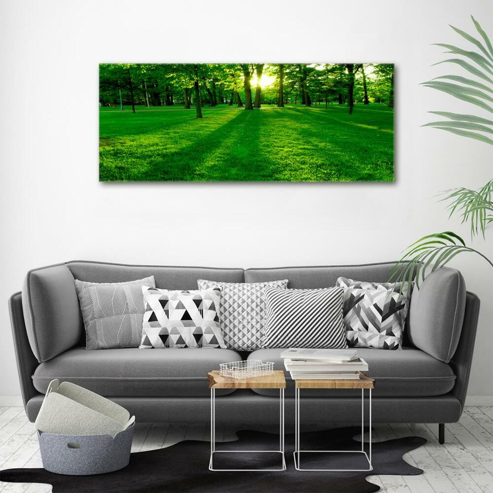 Tableau mural sur toile Herbe dans le parc