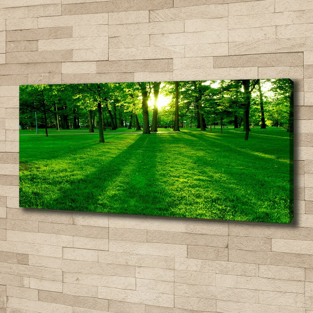 Tableau mural sur toile Herbe dans le parc