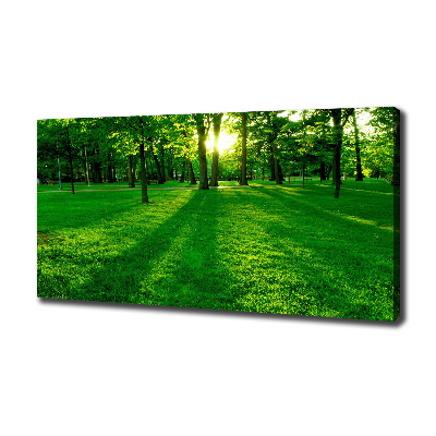 Tableau mural sur toile Herbe dans le parc