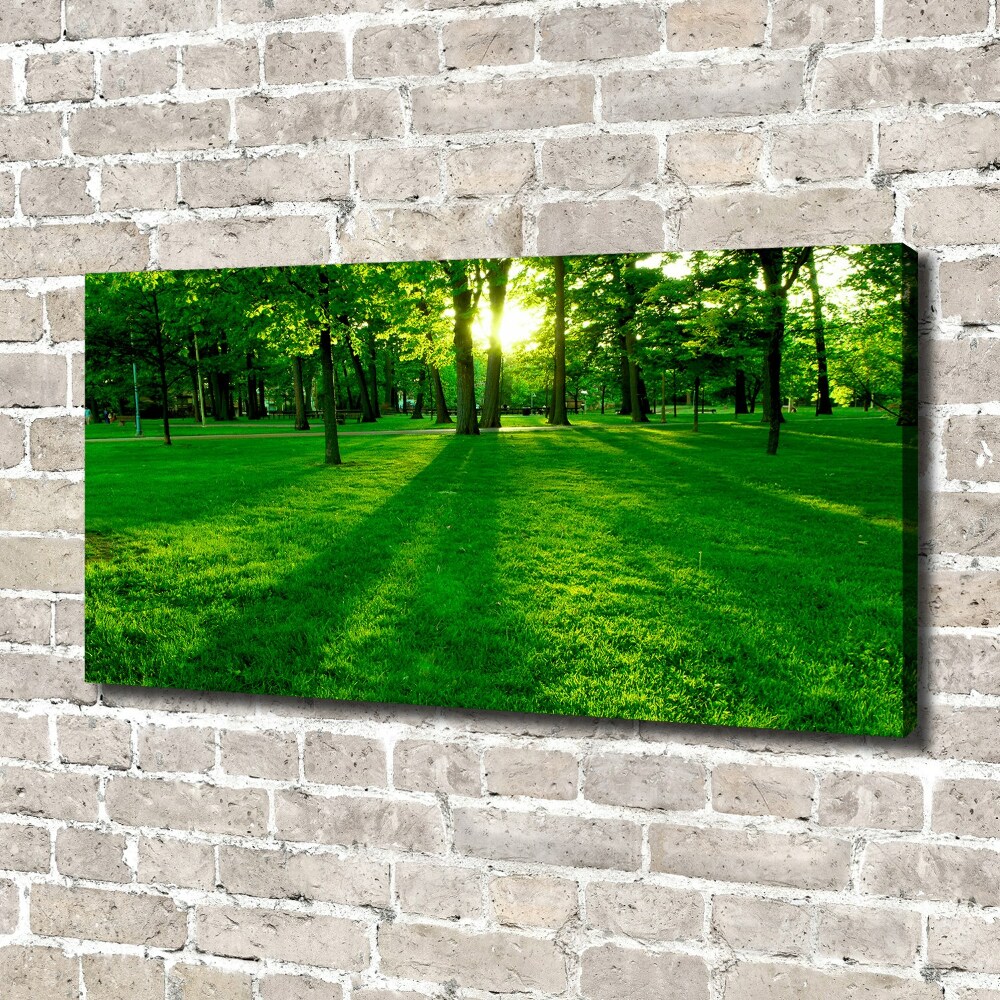 Tableau mural sur toile Herbe dans le parc