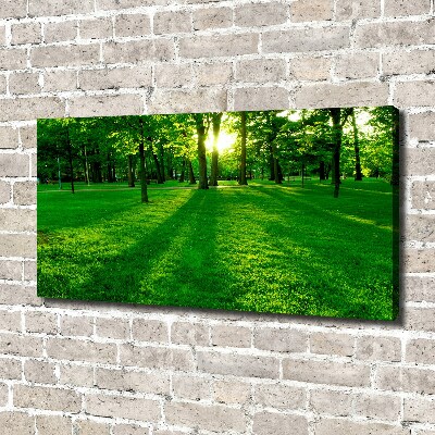 Tableau mural sur toile Herbe dans le parc