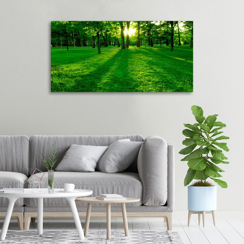 Tableau mural sur toile Herbe dans le parc