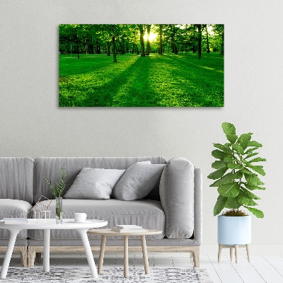 Tableau mural sur toile Herbe dans le parc