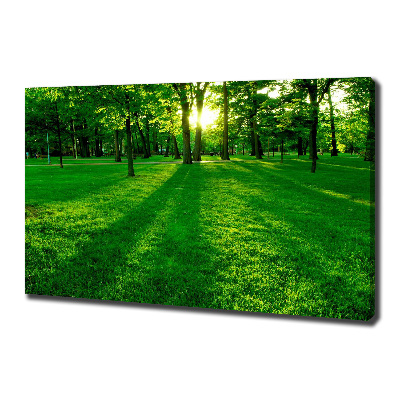 Tableau mural sur toile Herbe dans le parc