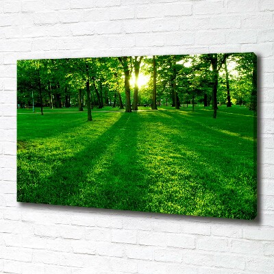 Tableau mural sur toile Herbe dans le parc