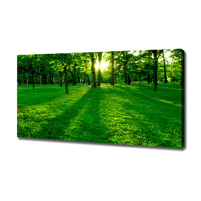 Tableau mural sur toile Herbe dans le parc