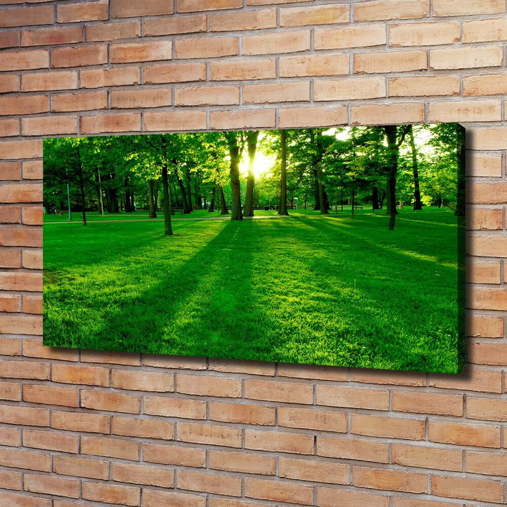 Tableau mural sur toile Herbe dans le parc