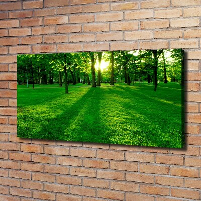 Tableau mural sur toile Herbe dans le parc