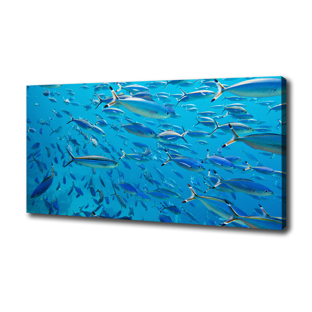 Tableau imprimé sur toile Poisson corail