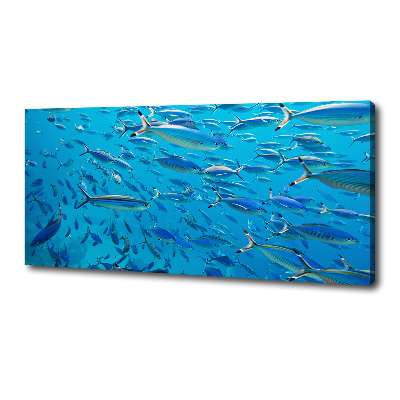 Tableau imprimé sur toile Poisson corail