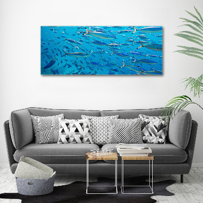 Tableau imprimé sur toile Poisson corail