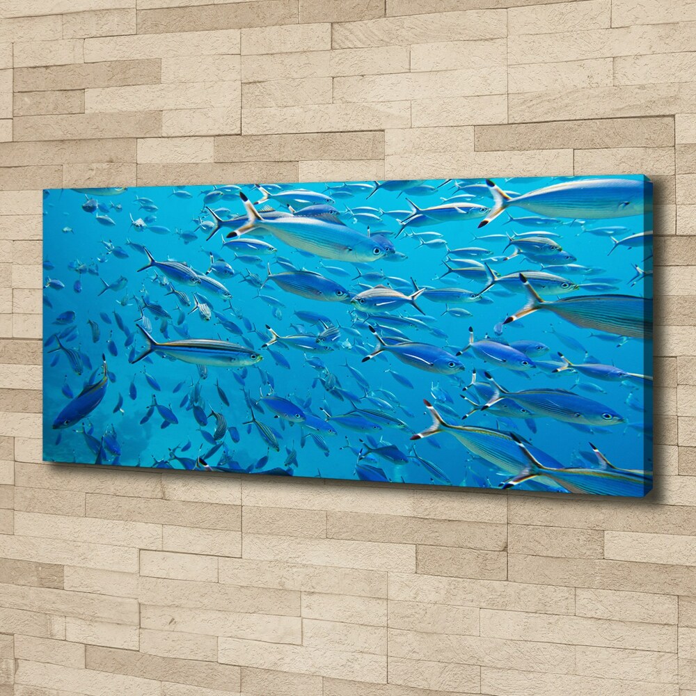 Tableau imprimé sur toile Poisson corail