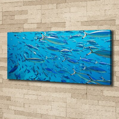 Tableau imprimé sur toile Poisson corail