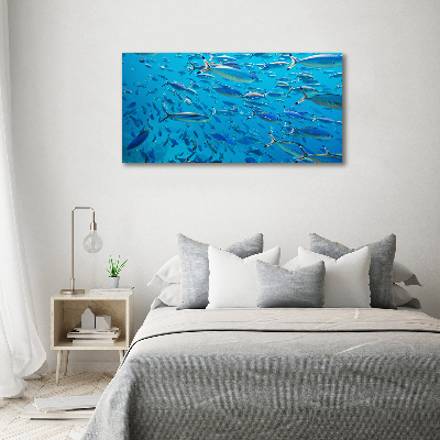 Tableau imprimé sur toile Poisson corail