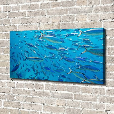 Tableau imprimé sur toile Poisson corail