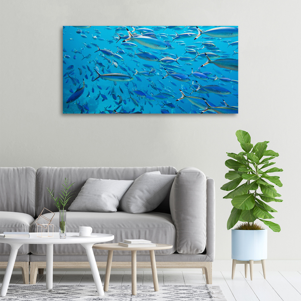 Tableau imprimé sur toile Poisson corail