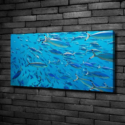 Tableau imprimé sur toile Poisson corail