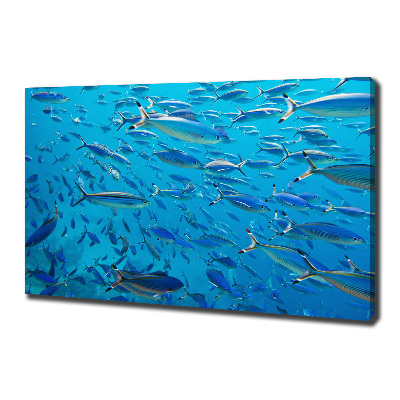 Tableau imprimé sur toile Poisson corail