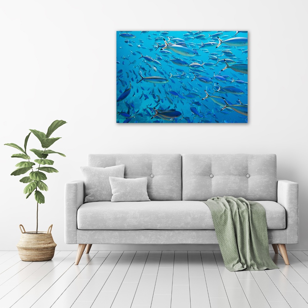 Tableau imprimé sur toile Poisson corail