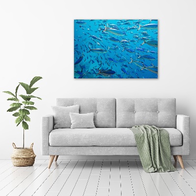 Tableau imprimé sur toile Poisson corail