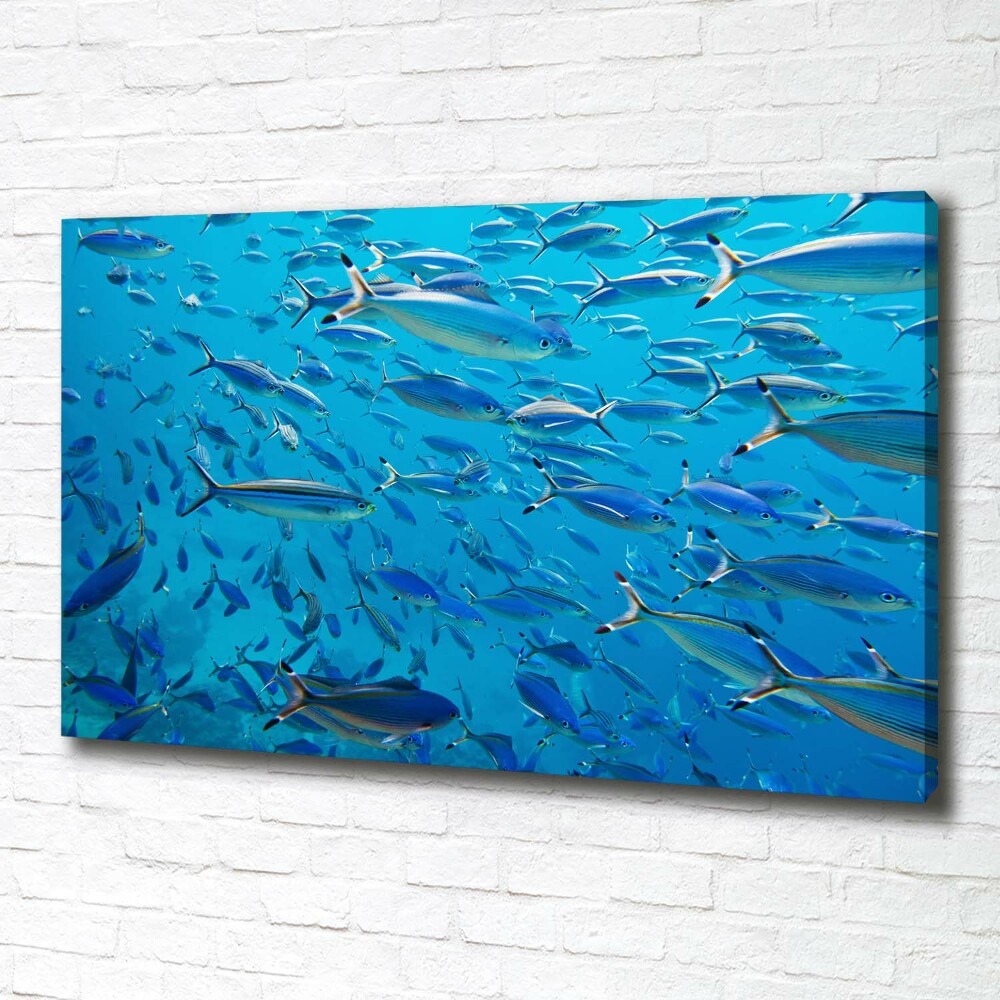 Tableau imprimé sur toile Poisson corail