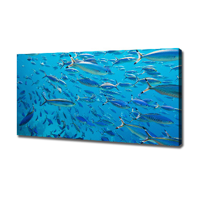 Tableau imprimé sur toile Poisson corail