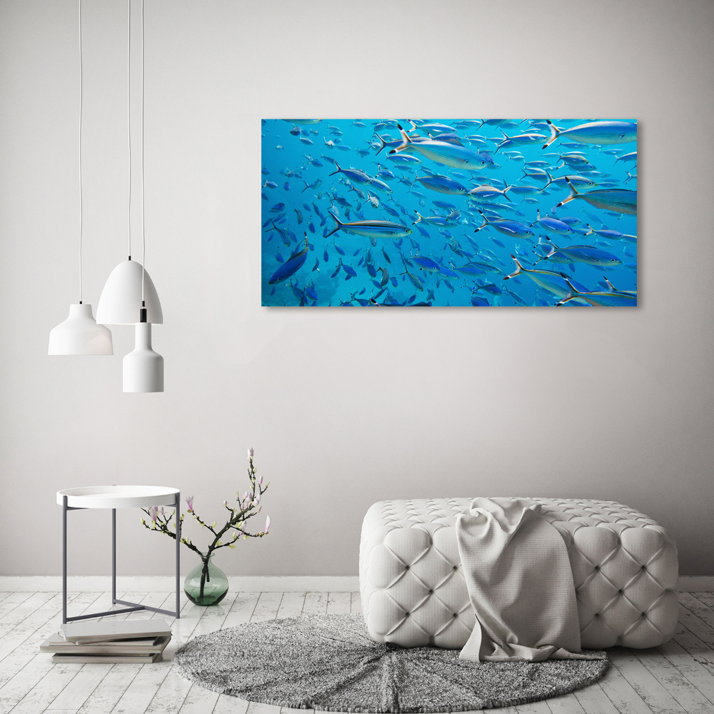 Tableau imprimé sur toile Poisson corail