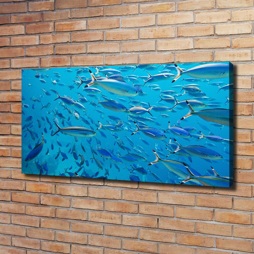 Tableau imprimé sur toile Poisson corail