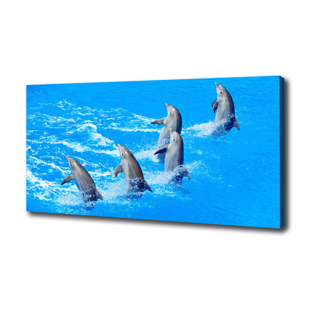 Tableau imprimé sur toile Dauphins