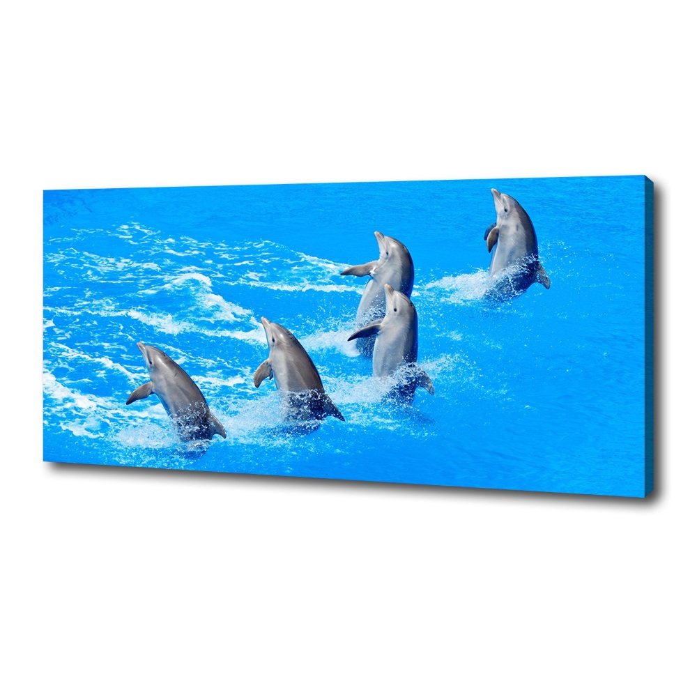 Tableau imprimé sur toile Dauphins