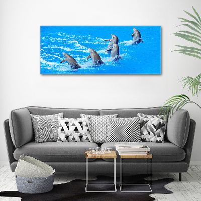 Tableau imprimé sur toile Dauphins