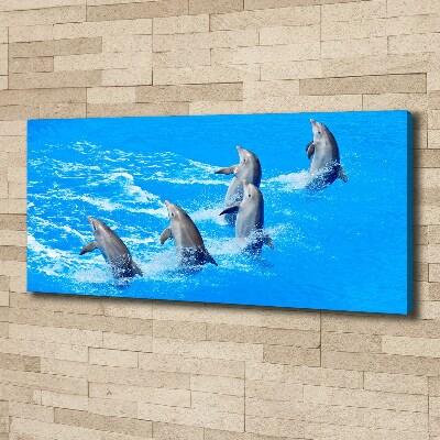 Tableau imprimé sur toile Dauphins