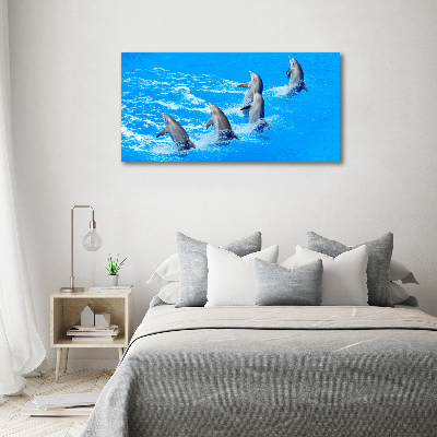 Tableau imprimé sur toile Dauphins