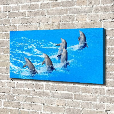 Tableau imprimé sur toile Dauphins