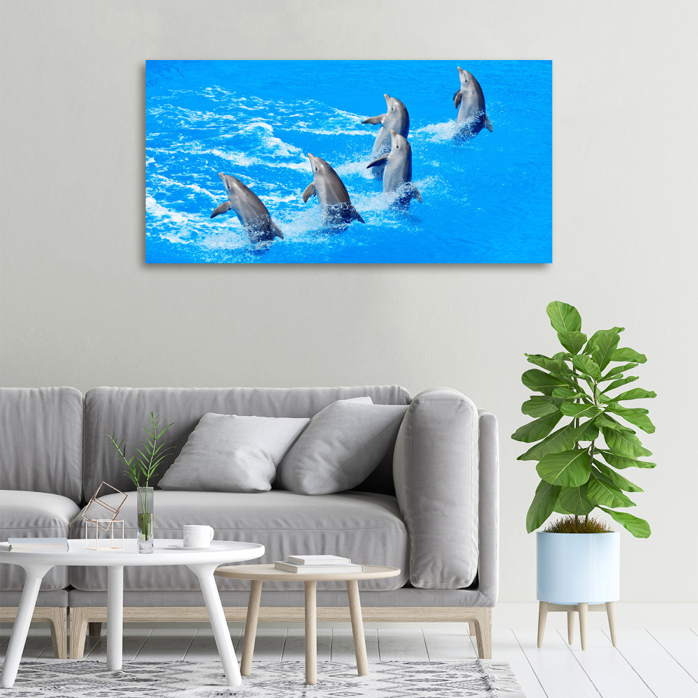 Tableau imprimé sur toile Dauphins