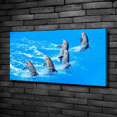 Tableau imprimé sur toile Dauphins