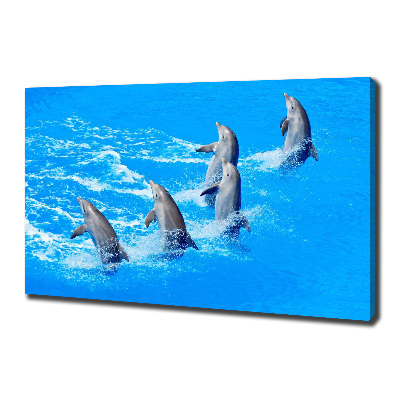 Tableau imprimé sur toile Dauphins