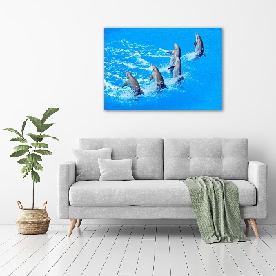 Tableau imprimé sur toile Dauphins