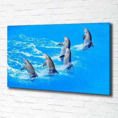 Tableau imprimé sur toile Dauphins